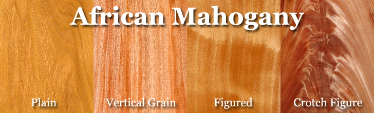 African Mahogany Tree African Mahogany Tree