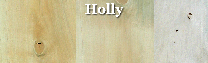 holly lumber