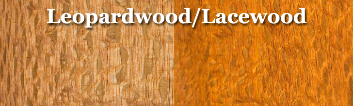 lacewood leopardwood wood