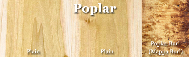 poplar wood