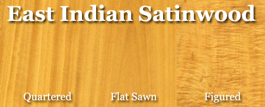 East Indian Satinwood