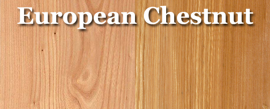 Chestnut (European)