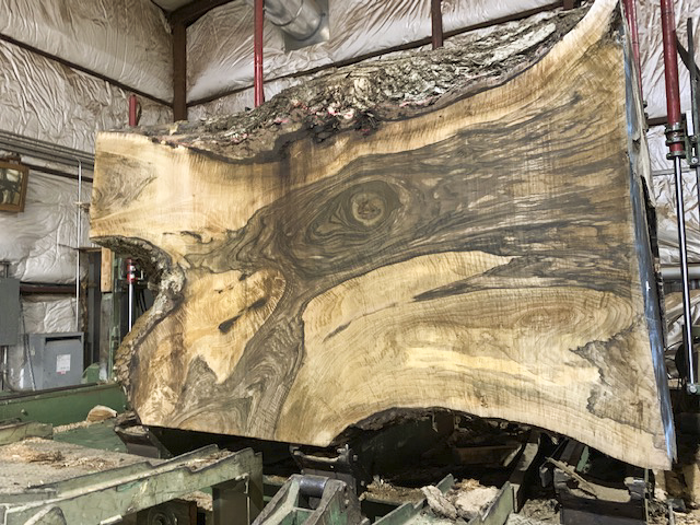 Cutting 67” wide, 10/4 English Walnut at Hearne Hardwoods Inc.